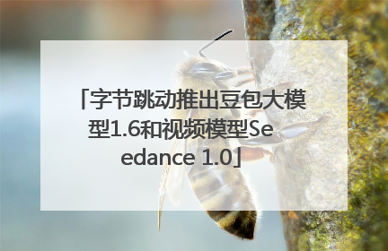 字节跳动推出豆包大模型1.6和视频模型Seedance 1.0