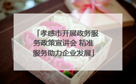 孝感市开展政务服务政策宣讲会 精准服务助力企业发展