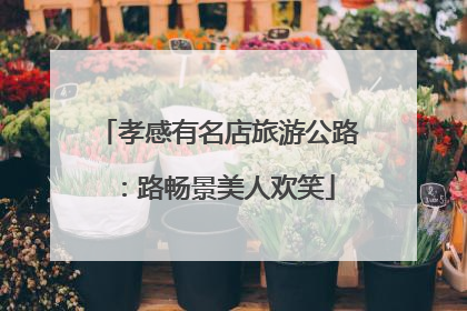 孝感有名店旅游公路：路畅景美人欢笑
