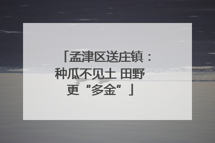 孟津区送庄镇：种瓜不见土 田野更“多金”