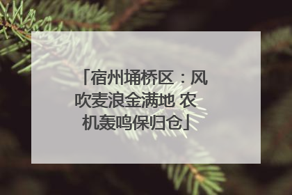 宿州埇桥区：风吹麦浪金满地 农机轰鸣保归仓
