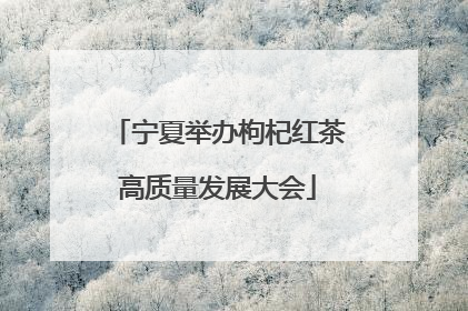 宁夏举办枸杞红茶高质量发展大会