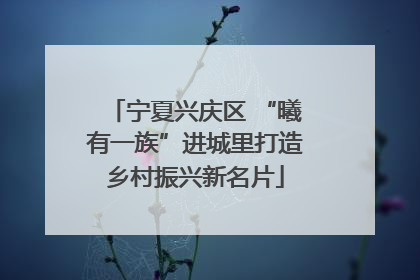 宁夏兴庆区 “曦有一族”进城里打造乡村振兴新名片