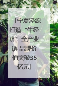 宁夏泾源打造“牛经济”全产业链 品牌价值突破35亿元