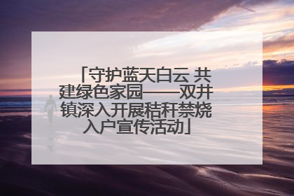 守护蓝天白云 共建绿色家园——双井镇深入开展秸秆禁烧入户宣传活动