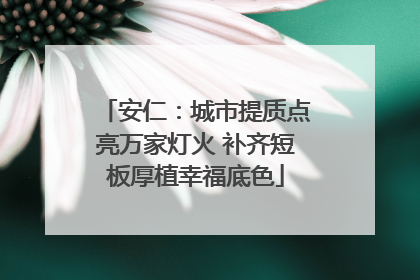 安仁：城市提质点亮万家灯火 补齐短板厚植幸福底色