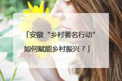 安徽“乡村著名行动”如何赋能乡村振兴？