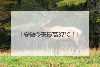 安徽今天最高37℃！
