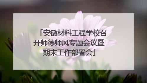 安徽材料工程学校召开师德师风专题会议暨期末工作部署会