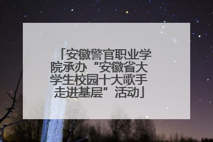 安徽警官职业学院承办“安徽省大学生校园十大歌手走进基层”活动