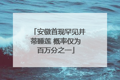 安徽首现罕见并蒂睡莲 概率仅为百万分之一