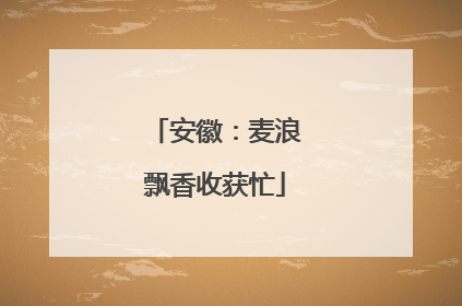 安徽：麦浪飘香收获忙