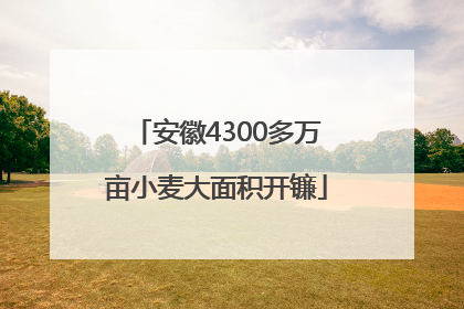 安徽4300多万亩小麦大面积开镰