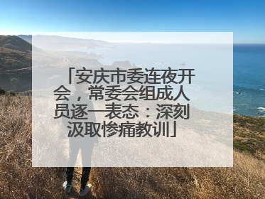 安庆市委连夜开会，常委会组成人员逐一表态：深刻汲取惨痛教训