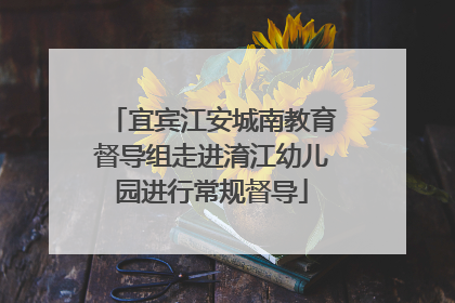 宜宾江安城南教育督导组走进淯江幼儿园进行常规督导