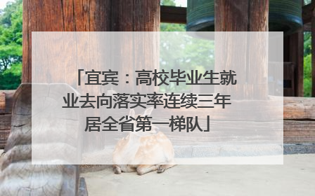 宜宾：高校毕业生就业去向落实率连续三年居全省第一梯队