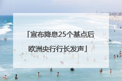 宣布降息25个基点后 欧洲央行行长发声