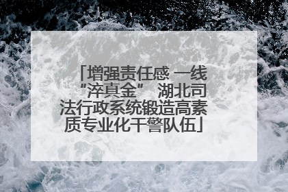 增强责任感 一线“淬真金” 湖北司法行政系统锻造高素质专业化干警队伍