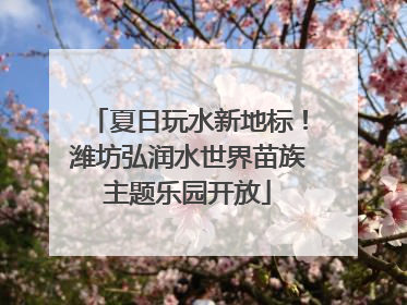 夏日玩水新地标！潍坊弘润水世界苗族主题乐园开放
