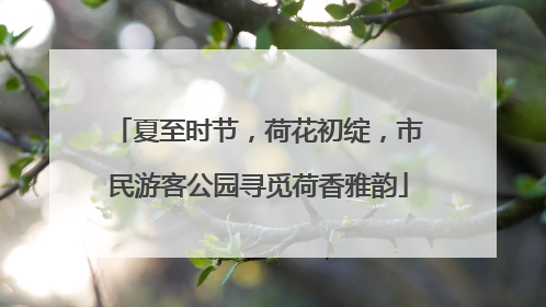 夏至时节，荷花初绽，市民游客公园寻觅荷香雅韵