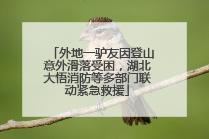 外地一驴友因登山意外滑落受困，湖北大悟消防等多部门联动紧急救援