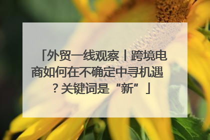 外贸一线观察丨跨境电商如何在不确定中寻机遇？关键词是“新”