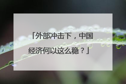 外部冲击下，中国经济何以这么稳？