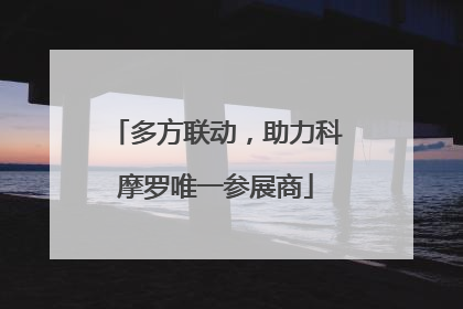 多方联动，助力科摩罗唯一参展商
