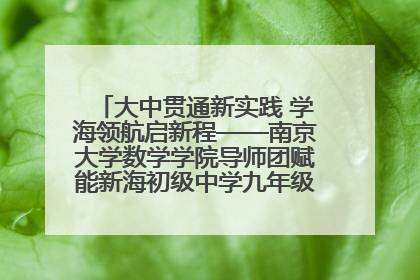 大中贯通新实践 学海领航启新程——南京大学数学学院导师团赋能新海初级中学九年级学子生涯规划
