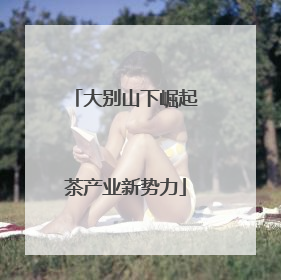 大别山下崛起茶产业新势力