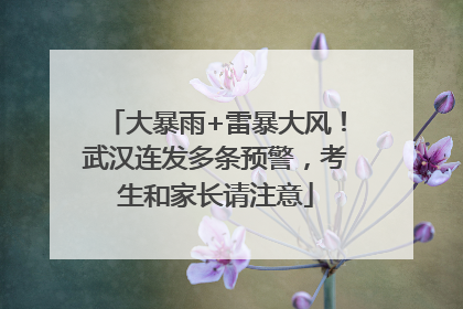 大暴雨+雷暴大风！武汉连发多条预警，考生和家长请注意