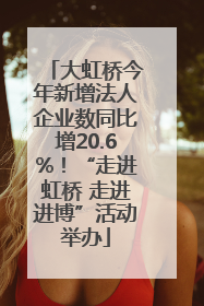 大虹桥今年新增法人企业数同比增20.6%！“走进虹桥 走进进博”活动举办