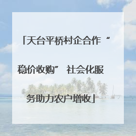天台平桥村企合作“稳价收购” 社会化服务助力农户增收