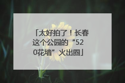太好拍了！长春这个公园的“520花墙”火出圈