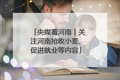 央媒看河南｜关注河南抢收小麦、促进就业等内容