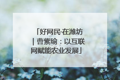 好网民·在潍坊｜曹紫瑜：以互联网赋能农业发展
