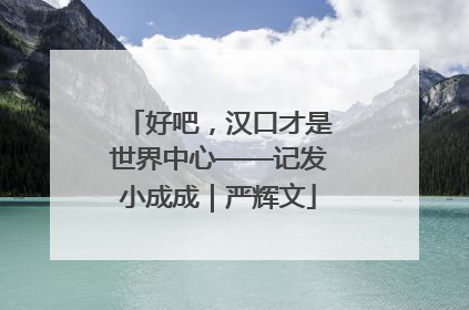 好吧，汉口才是世界中心——记发小成成｜严辉文