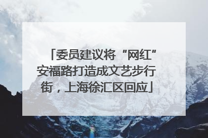 委员建议将“网红”安福路打造成文艺步行街，上海徐汇区回应