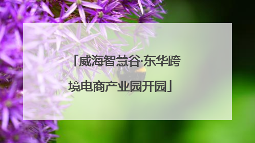 威海智慧谷·东华跨境电商产业园开园