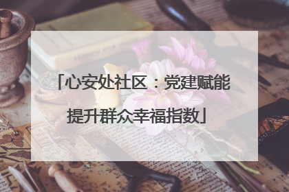 心安处社区：党建赋能 提升群众幸福指数