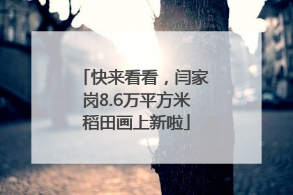 快来看看，闫家岗8.6万平方米稻田画上新啦