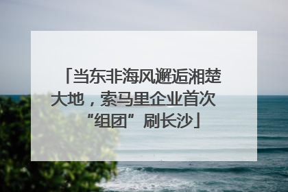 当东非海风邂逅湘楚大地，索马里企业首次“组团”刷长沙