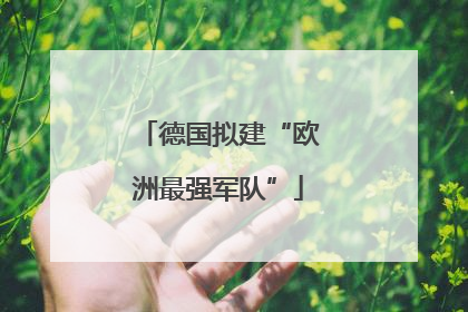 德国拟建“欧洲最强军队”