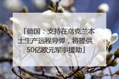 德国：支持在乌克兰本土生产远程导弹，将提供50亿欧元军事援助