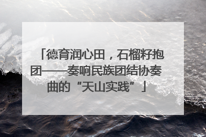 德育润心田，石榴籽抱团——奏响民族团结协奏曲的“天山实践”