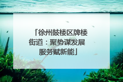 徐州鼓楼区牌楼街道：聚势谋发展 服务赋新能
