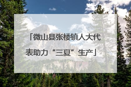 微山县张楼镇人大代表助力“三夏”生产
