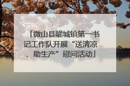 微山县驩城镇第一书记工作队开展“送清凉、助生产”慰问活动