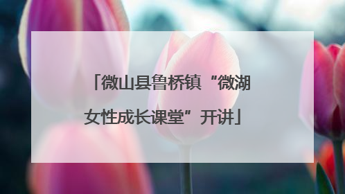 微山县鲁桥镇“微湖女性成长课堂”开讲