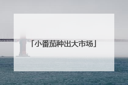 小番茄种出大市场